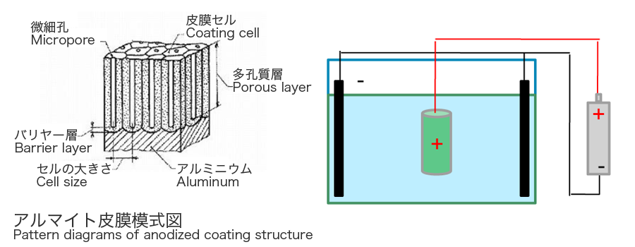 Illustration: Pattern diagrams of anodized coating structure
