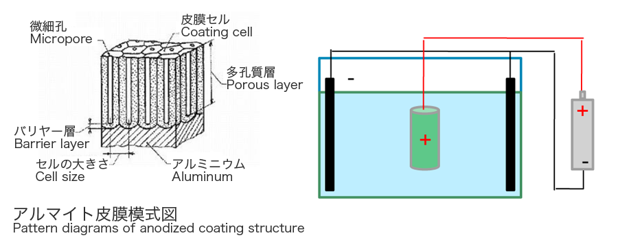イラスト：アルマイト皮膜模式図