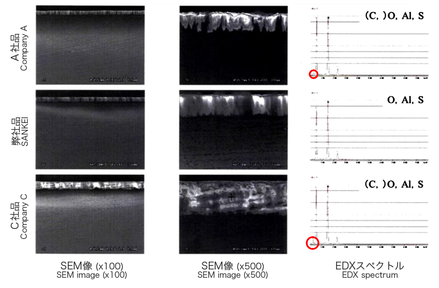 写真：SEM、EDX観察